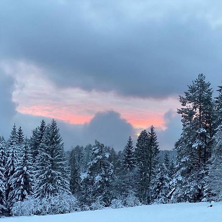 Schwarzwald Wohnung Kniebis Фройденштадт Экстерьер фото