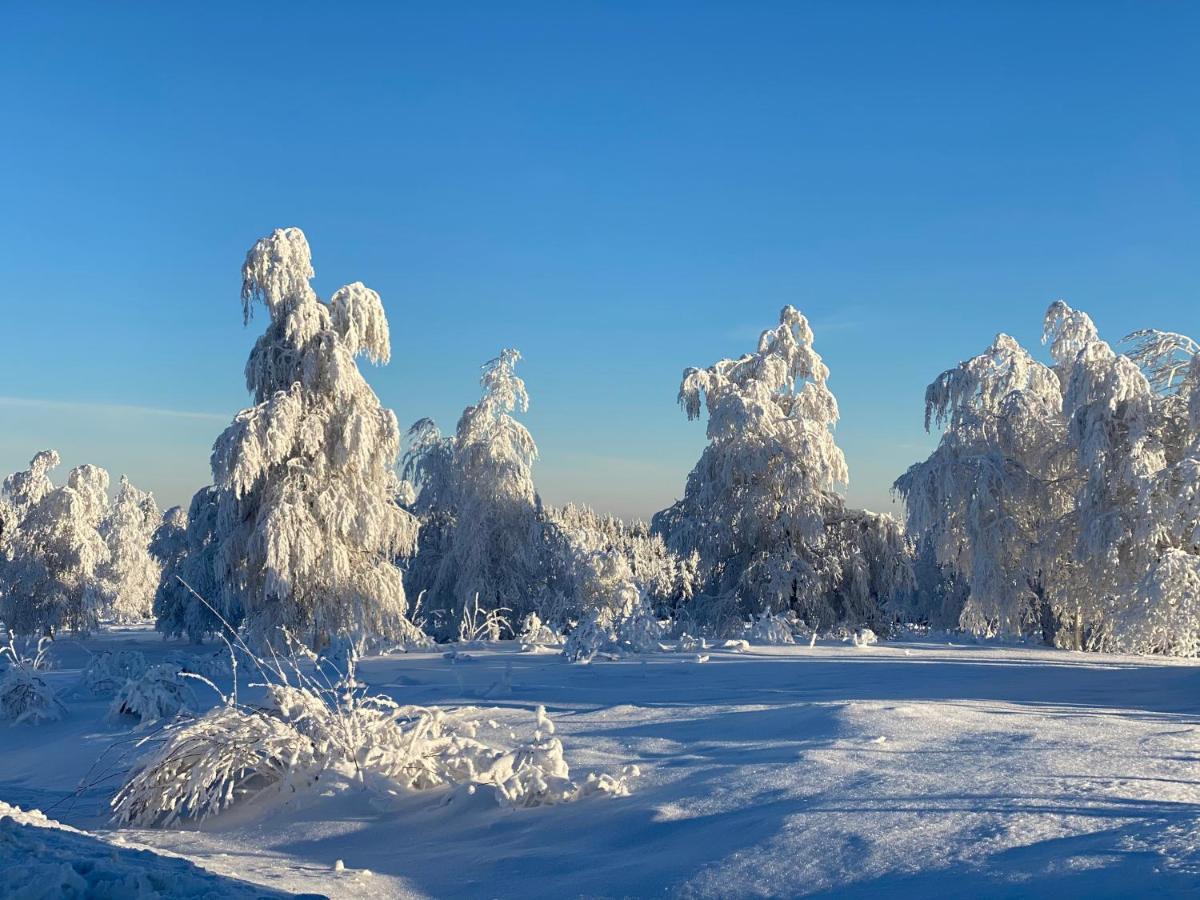 Schwarzwald Wohnung Kniebis Фройденштадт Экстерьер фото