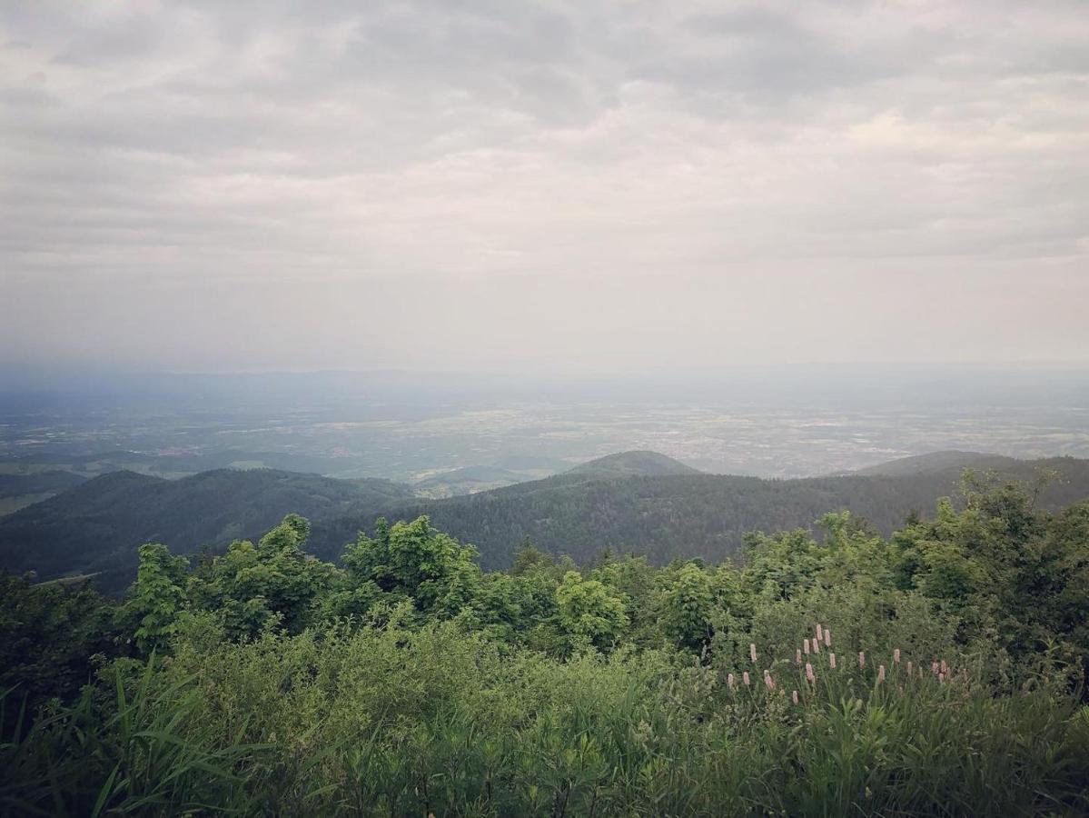 Schwarzwald Wohnung Kniebis Фройденштадт Экстерьер фото