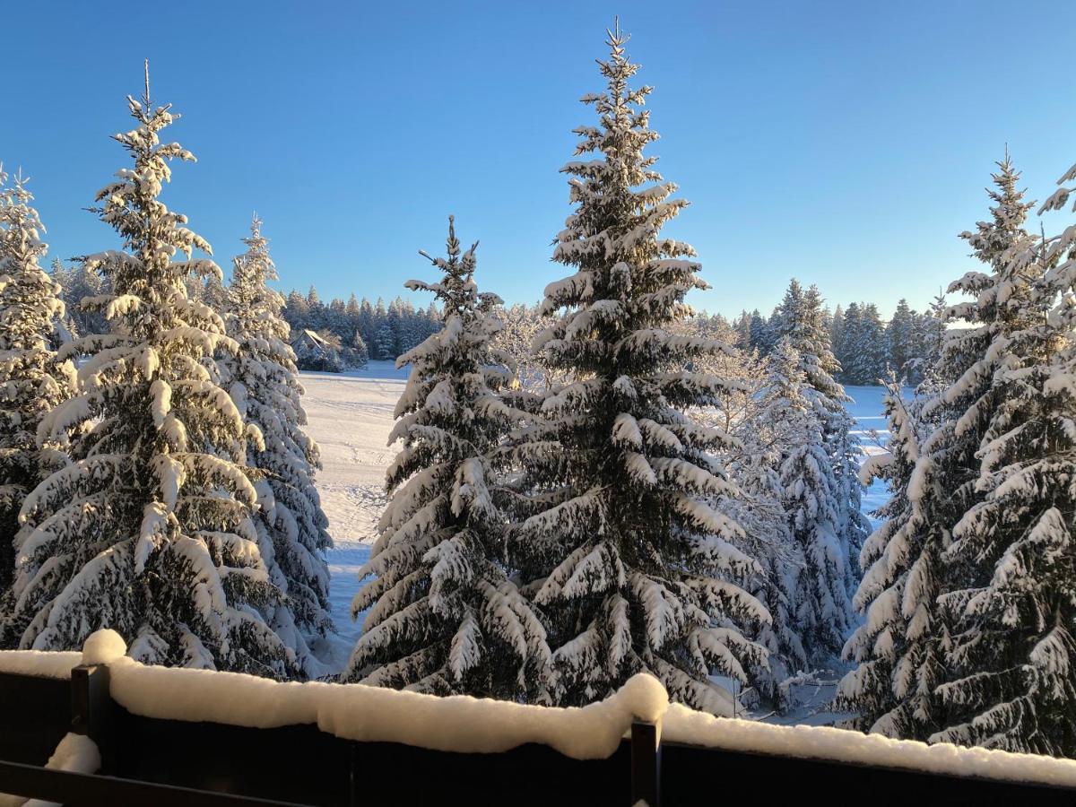 Schwarzwald Wohnung Kniebis Фройденштадт Экстерьер фото