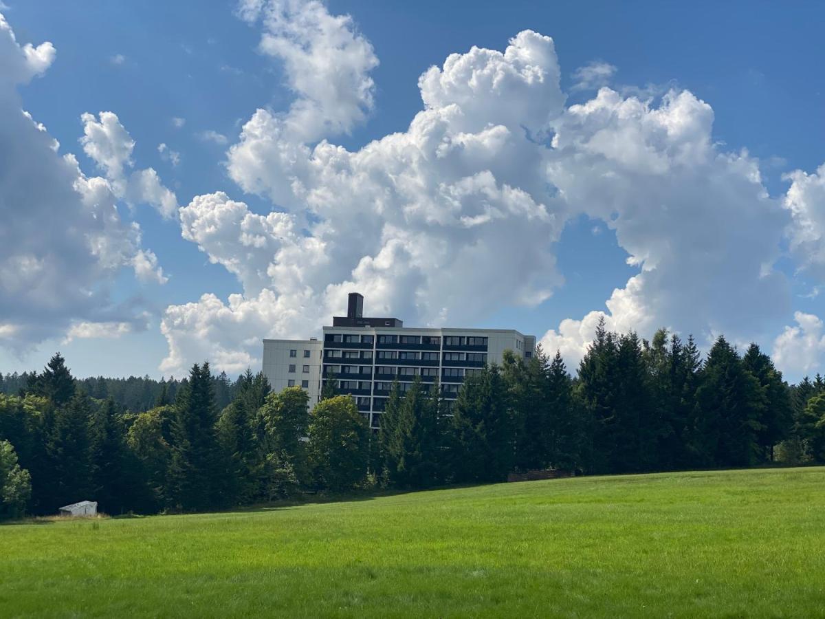 Schwarzwald Wohnung Kniebis Фройденштадт Экстерьер фото