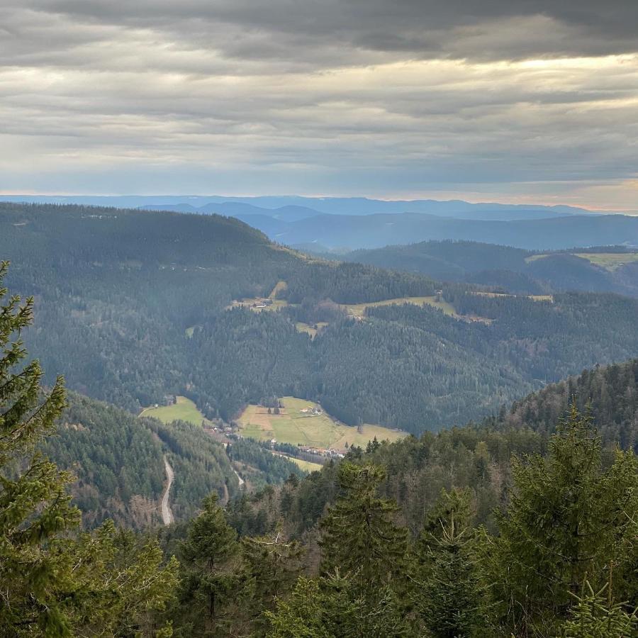 Schwarzwald Wohnung Kniebis Фройденштадт Экстерьер фото